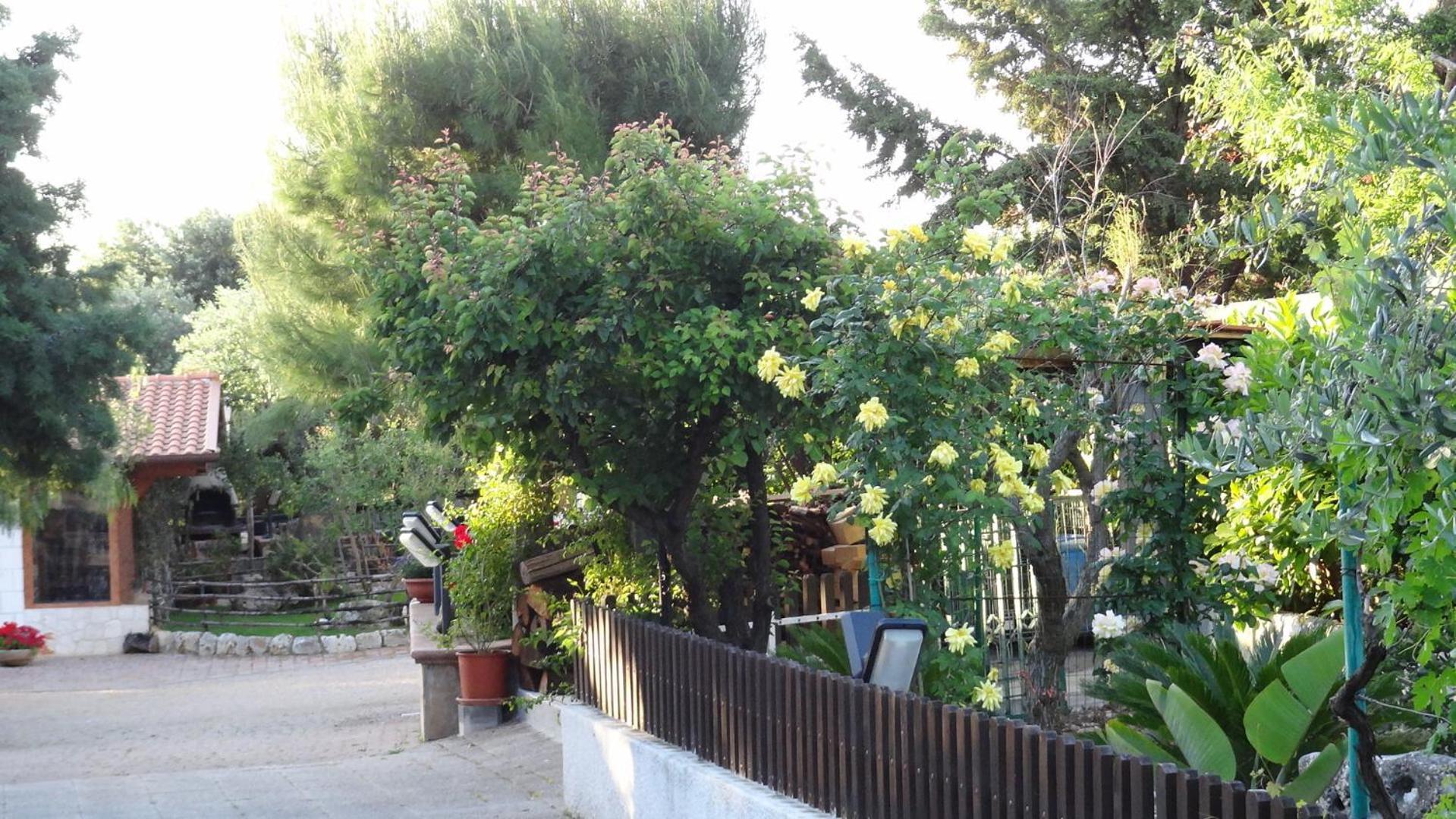 Bed And Breakfast La Casetta Monopoli Exterior photo